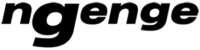 ngenge sport logo